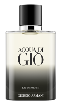 ARMANI ACQUA DI GIO EDP 100ML